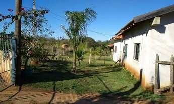 Imagem 6: Chácara as margens do rio Paranapanema