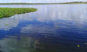 Imagem: Excelente área de terra às margens da