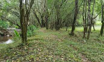 Imagem 6: Vendo chácara Campo Magro 20.000m2