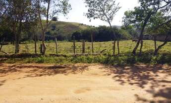 Imagem 5: BORDA DA MATA - Terreno Padrão - Estação