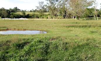 Imagem 4: Espetacular Sítio na 239 em Araricá, área NOBRE