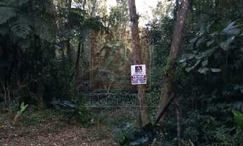 Imagem 4: Luiz Alves - Terreno Padrão - Centro