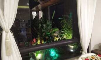 Imagem 3: Apartamento na Pituba