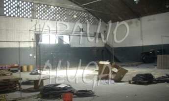 Imagem 4: Otimo Galpão!!!!