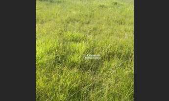 Imagem 2: Terreno à venda, 300 m² por R$ 230.000,00 - Jardim Santa Maria - Jacareí/SP