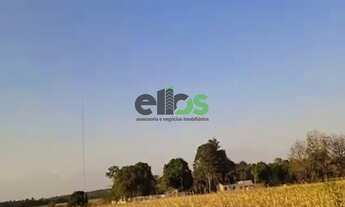 Imagem 5: Fazenda Dupla Aptidão - AGRICULTURA (LAVOURA/GRÃOS/SOJA) e PECUÁRIA, 1.400 hectares, à ven