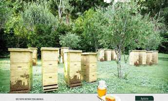 Imagem 3: Vendo chácaras em condomínio fechado em Santa Leopoldina