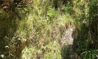 Imagem 4: Mogi das Cruzes - Terreno Padrão - Vila São Paulo