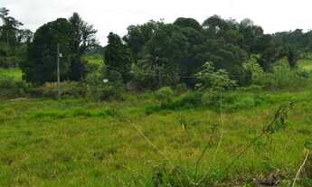 Imagem 6: Terra em Roraima