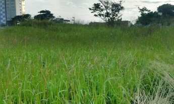 Imagem: Área 19200M² preço 650,00 o metro quadrado