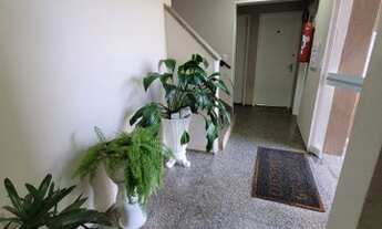 Imagem 5: APARTAMENTO RESIDENCIAL em JOINVILLE - SC, GUANABARA