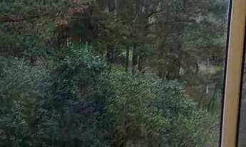 Imagem 7: Apartamento Mobiliado para aluguel com 48 m² com 2 quartos em Agronomia - Porto Alegre - R