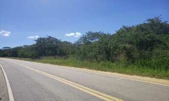 Imagem 3: Fazenda 171ha a venda