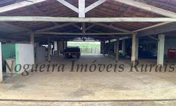 Imagem 7: Fazenda em Itapetininga, rica em água (Nogueira Imóveis Rurais