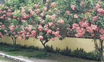 Imagem: Rio da Prata, linda casa com 2 suítes