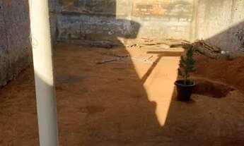 Imagem 7: Casa parque Ibirapuera