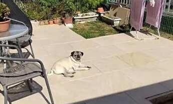 Imagem 5: Apartamento à venda Avenida Açucena, Estância Velha - Canoas