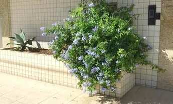 Imagem 7: Apartamento 02 quartos com varanda disponível para locação temporada, excelente localizaçã