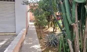 Imagem 4: Casa dos sonhos, com design elegante, um lindo jardim e uma área gourmet! Não perca!