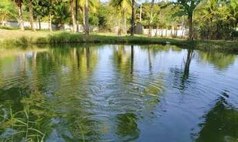 Imagem 7: Guaratiba-RJ-sítio 10.500m-piscina-Campo-Lago de peixes-2 casas