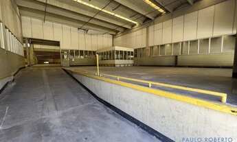 Imagem 7: GALPÃO - SANTO AMARO - SP