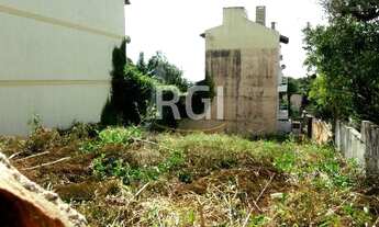 Imagem 4: Terreno em Tristeza