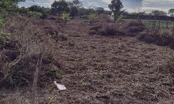 Imagem 2: Ótimo terreno,venha fazer o sítio