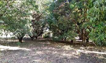 Imagem 6: Fazenda/Sítio/Chácara para venda possui 9000 metros quadrados com 3 quartos