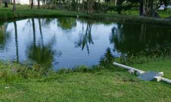 Imagem 5: Guaratiba-RJ-sítio 10.500m-piscina-Campo-Lago de peixes-2 casas