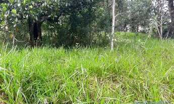 Imagem 6: AREA - PARQUE RESIDENCIAL ITAPETI - SP