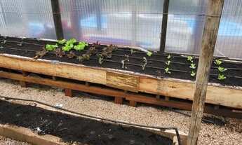 Imagem 2: Barbada!!! Lindo sítio com piscina, vista para lagoa e árvores frutíferas em condomínio