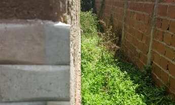 Imagem 7: Casa no Zélia Barbosa Rocha em Rua Calçada