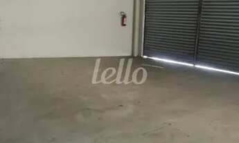 Imagem 4: Santo André - Galpão/Depósito/Armazém - Vila Gilda