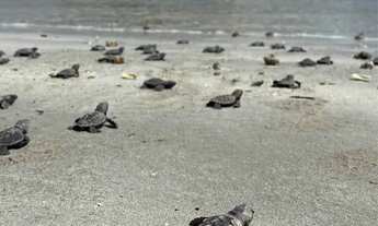 Imagem 5: Casa de praia temporada