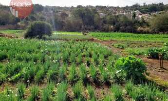 Imagem 4: Chácara com 2 dormitórios à venda, 14000 m² por R$ 7.000.000,00 - Condomínio Quinta da Boa