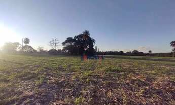 Imagem 7: Area a Venda Terreno / lote com venda por R$12.000.000