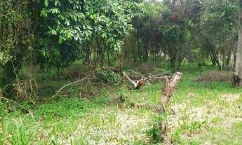 Imagem 7: Fazenda Lotes para venda, terrenos a partir de 376m² em Badu - Niterói - RJ