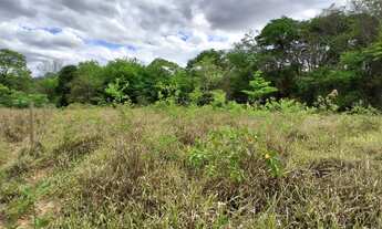 Imagem 3: TERRENO RURAL 5.264 m² - / ANTÔNIO OLINTO - MONTES CLAROS MG