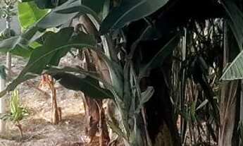 Imagem 6: Casa na laje 1 quarto no lote de 960 metros condomínio pequeno jardim botânico