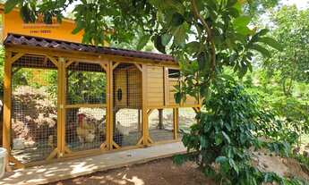 Imagem 4: Chácara Formada à Venda em Condomínio Rural