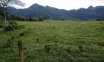 Imagem: WCM - Sítio Caparaó 2 alqueires 2.000.000,00