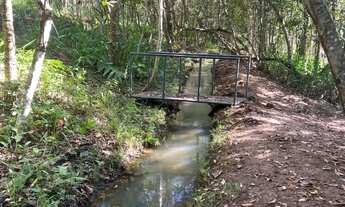 Imagem 7: SÍTIO À VENDA - PRÓXIMO A FLOR DE MINAS GURINHATA - Água em Abundância - R$ 2.000.000,00