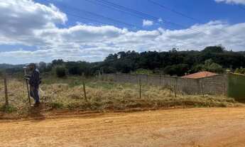 Imagem 9: Lote com Ótimo Espaço