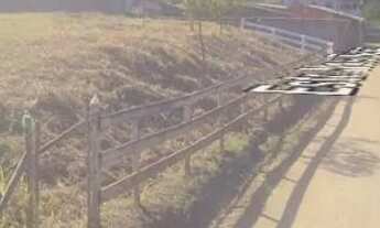 Imagem 5: Terreno à venda - 1.875 m² - 5 min do centro de Trajano de Moraes (RJ