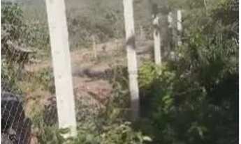 Imagem 6: VENDO!!! Um terreno bruto com 1.020 M² no loteamento gratidão, somente 12 km da