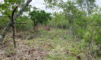 Imagem 6: Chácaras de 20mil mt com córrego em Cromínia!