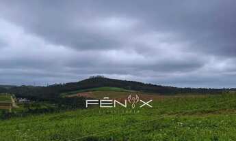 Imagem 2: Casa de condomínio para venda com 500 metros quadrados