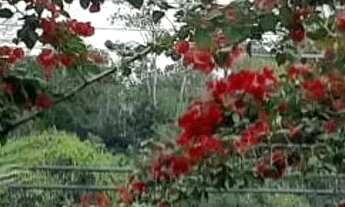 Imagem 2: Comercial para Venda em Volta Redonda / RJ no bairro Candelária