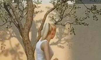 Imagem 4: Apartamento 2 Quartos