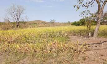 Imagem 6: Sítio de 34 hectares no assentamento comunidade sadia 3